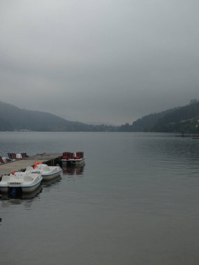 Gerardmer - Ağustos 2020: Gerardmer şehrinin ziyareti - Vosges dağlarının ortasındaki güzel göl turu