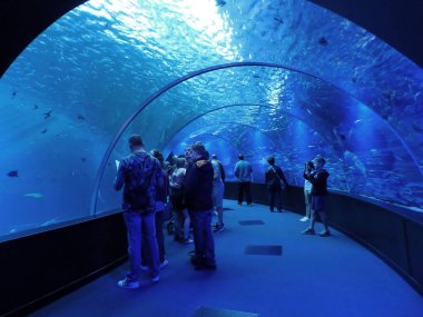 Boulogne sur Mer, Mart 2019: Avrupa 'nın en büyük akvaryumunun ziyareti - Nausicaa Centre National de la Mer