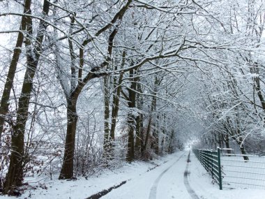 Lille, Fransa - Ocak 2020: Karların Altında Lille - Şehir Bilimi Kampüsü (Villeneuve d 'Ascq)