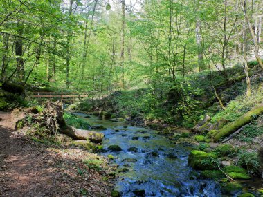 Mullerthal Trail, Mayıs 2019: Lüksemburg Ardennes bölgesinde bulunan Mullerthal Trail 'de (veya Küçük Lüksemburg İsviçre) büyük bir yürüyüş