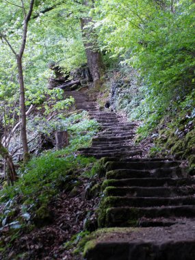 Mullerthal Trail, Mayıs 2019: Lüksemburg Ardennes bölgesinde bulunan Mullerthal Trail 'de (veya Küçük Lüksemburg İsviçre) büyük bir yürüyüş