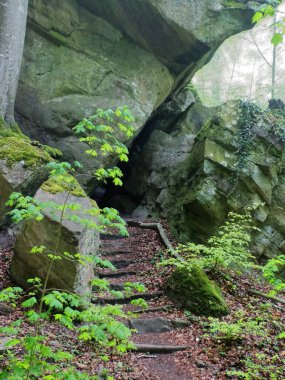 Mullerthal Trail, Mayıs 2019: Lüksemburg Ardennes bölgesinde bulunan Mullerthal Trail 'de (veya Küçük Lüksemburg İsviçre) büyük bir yürüyüş