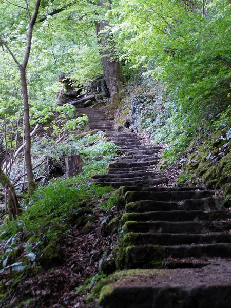 stock image Mullerthal Trail, May 2019 : Big hike in the Mullerthal Trail (or Little Luxembourg Switzerland) located in the Luxembourg Ardennes