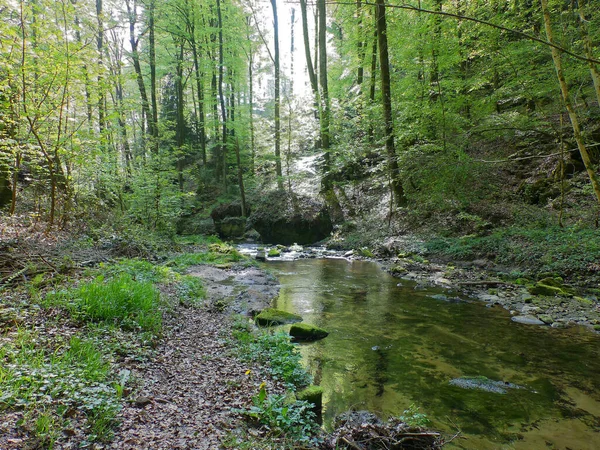Mullerthal Trail May 2019 Big Hike Mullerthal Trail Little Luxembourg — Stock Photo, Image