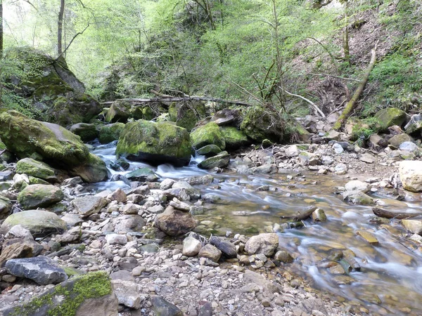 Mullerthal Trail May 2019 Big Hike Mullerthal Trail Little Luxembourg — 스톡 사진