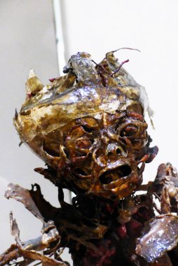 Paris, Kasım 2019: Veterinerlik Okulu Fragonard Müzesi 'ni ziyaret edin - Derisi yüzülmüş insan ve hayvan vücutlarının görüntüsü)