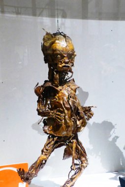 Paris, Kasım 2019: Veterinerlik Okulu Fragonard Müzesi 'ni ziyaret edin - Derisi yüzülmüş insan ve hayvan vücutlarının görüntüsü)