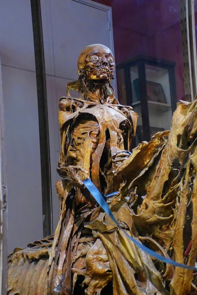 Paris, Kasım 2019: Veterinerlik Okulu Fragonard Müzesi 'ni ziyaret edin - Derisi yüzülmüş insan ve hayvan vücutlarının görüntüsü)