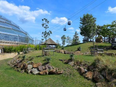 Beauval Zoo + Pairi Daiza Hayvanat Bahçesi: Çok sayıda hayvan