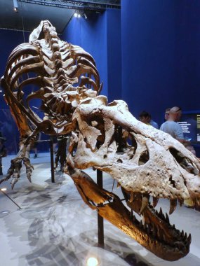 Paris 'teki Paleontoloji ve Karşılaştırmalı Anatomi Müzesini ziyaret edin