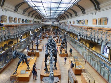 Paris 'teki Paleontoloji ve Karşılaştırmalı Anatomi Müzesini ziyaret edin