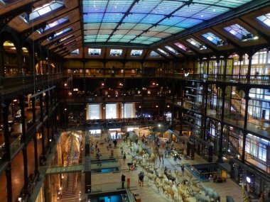 Paris 'teki Paleontoloji ve Karşılaştırmalı Anatomi Müzesini ziyaret edin