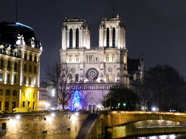 Paris France July 2018 Notre Dame Paris — стокове фото