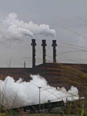 Ocak 2023, Dunkerque - Kırık Baraj Kış Yürüyüşü - Endüstriyel bir bölgede