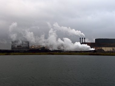 Ocak 2023, Dunkerque - Kırık Baraj Kış Yürüyüşü - Endüstriyel bir bölgede