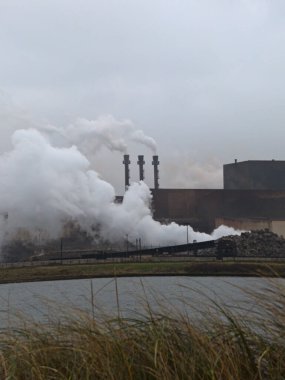 Ocak 2023, Dunkerque - Kırık Baraj Kış Yürüyüşü - Endüstriyel bir bölgede