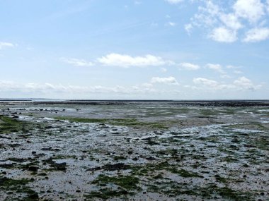 Ile d 'Aix, Ağustos 2024 Fransa' nın Atlantik kıyısındaki görkemli Ile d 'Aix' i ziyaret edin. 