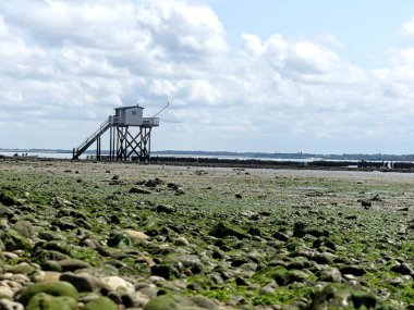 Ile d 'Aix, Ağustos 2024 Fransa' nın Atlantik kıyısındaki görkemli Ile d 'Aix' i ziyaret edin. 