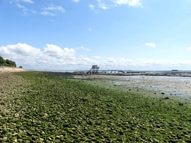 Ile d 'Aix, Ağustos 2024 Fransa' nın Atlantik kıyısındaki görkemli Ile d 'Aix' i ziyaret edin. 