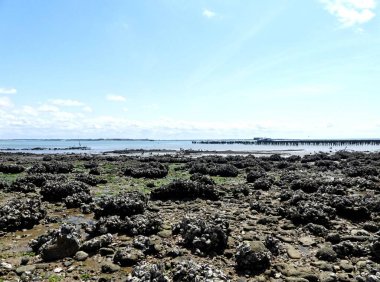 Ile d 'Aix, Ağustos 2024 Fransa' nın Atlantik kıyısındaki görkemli Ile d 'Aix' i ziyaret edin. 