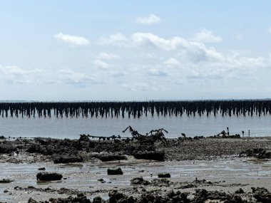 Ile d 'Aix, Ağustos 2024 Fransa' nın Atlantik kıyısındaki görkemli Ile d 'Aix' i ziyaret edin. 