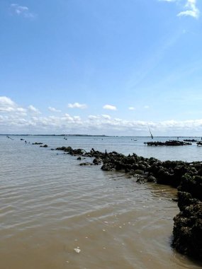 Ile d 'Aix, Ağustos 2024 Fransa' nın Atlantik kıyısındaki görkemli Ile d 'Aix' i ziyaret edin. 