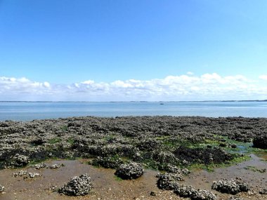 Ile d 'Aix, Ağustos 2024 Fransa' nın Atlantik kıyısındaki görkemli Ile d 'Aix' i ziyaret edin. 