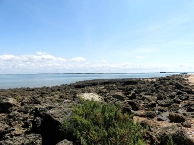 Ile d 'Aix, Ağustos 2024 Fransa' nın Atlantik kıyısındaki görkemli Ile d 'Aix' i ziyaret edin. 