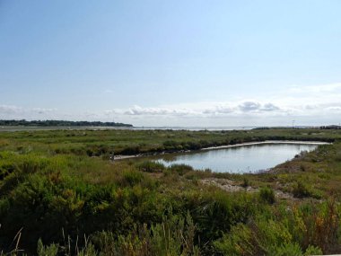 Ile d 'Aix, Ağustos 2024 Fransa' nın Atlantik kıyısındaki görkemli Ile d 'Aix' i ziyaret edin. 
