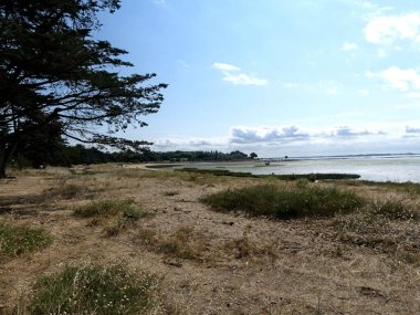 Ile d 'Aix, Ağustos 2024 Fransa' nın Atlantik kıyısındaki görkemli Ile d 'Aix' i ziyaret edin. 