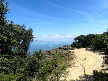Ile d 'Aix, Ağustos 2024 Fransa' nın Atlantik kıyısındaki görkemli Ile d 'Aix' i ziyaret edin. 