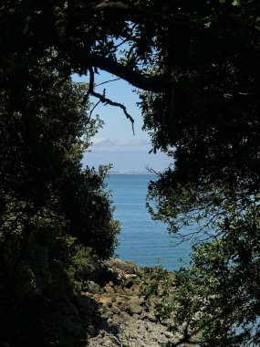 Ile d 'Aix, Ağustos 2024 Fransa' nın Atlantik kıyısındaki görkemli Ile d 'Aix' i ziyaret edin. 