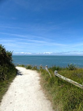 Ile d 'Aix, Ağustos 2024 Fransa' nın Atlantik kıyısındaki görkemli Ile d 'Aix' i ziyaret edin. 