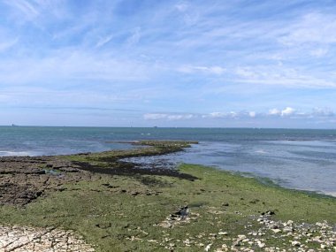 Ile d 'Aix, Ağustos 2024 Fransa' nın Atlantik kıyısındaki görkemli Ile d 'Aix' i ziyaret edin. 
