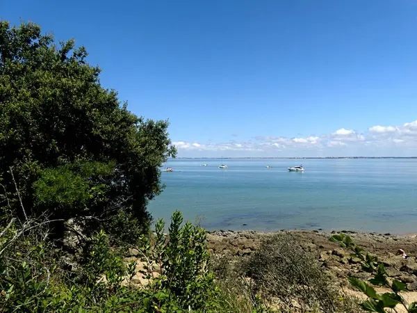 Ile d 'Aix, Ağustos 2024 Fransa' nın Atlantik kıyısındaki görkemli Ile d 'Aix' i ziyaret edin. 