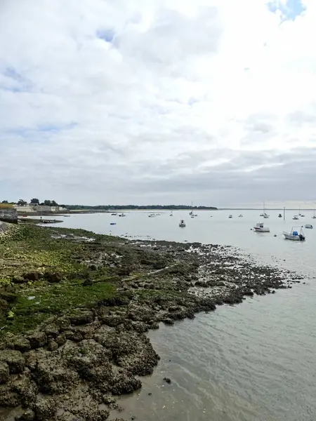 Ile d 'Aix, Ağustos 2024 Fransa' nın Atlantik kıyısındaki görkemli Ile d 'Aix' i ziyaret edin. 