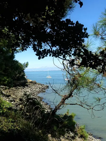 Ile d 'Aix, Ağustos 2024 Fransa' nın Atlantik kıyısındaki görkemli Ile d 'Aix' i ziyaret edin. 