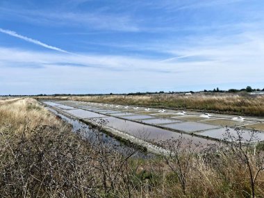 Ile de R, Ağustos 2024 Fransa 'nın Atlantik kıyısındaki güzel Ile de R' yi ziyaret edin.