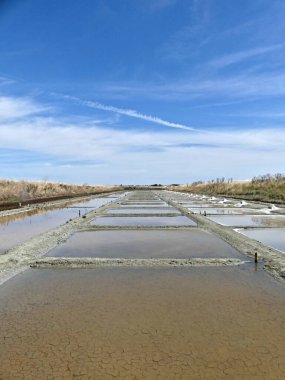 Ile de R, Ağustos 2024 Fransa 'nın Atlantik kıyısındaki güzel Ile de R' yi ziyaret edin.