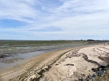 Ile de R, Ağustos 2024 Fransa 'nın Atlantik kıyısındaki güzel Ile de R' yi ziyaret edin.