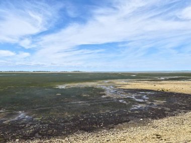 Ile de R, Ağustos 2024 Fransa 'nın Atlantik kıyısındaki güzel Ile de R' yi ziyaret edin.