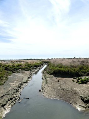Ile de R, Ağustos 2024 Fransa 'nın Atlantik kıyısındaki güzel Ile de R' yi ziyaret edin.