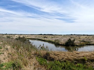 Ile de R, Ağustos 2024 Fransa 'nın Atlantik kıyısındaki güzel Ile de R' yi ziyaret edin.