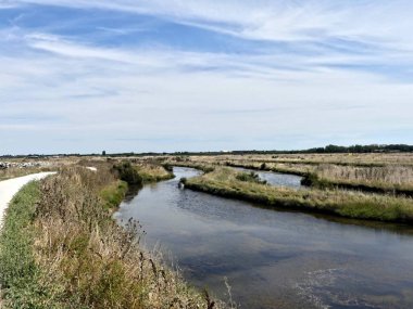 Ile de R, Ağustos 2024 Fransa 'nın Atlantik kıyısındaki güzel Ile de R' yi ziyaret edin.