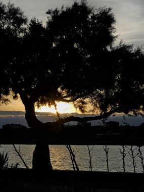 La Rochelle Fransa 'nın Atlantik kıyısındaki muhteşem La Rochelle şehrini ziyaret edin.