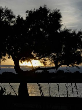 La Rochelle Fransa 'nın Atlantik kıyısındaki muhteşem La Rochelle şehrini ziyaret edin.