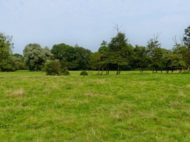 Fransa 'daki Argonne ormanında yürüyüş - Dini anıtın manzarası - Cte Vignes - Sainte Menehould Anma Töreni