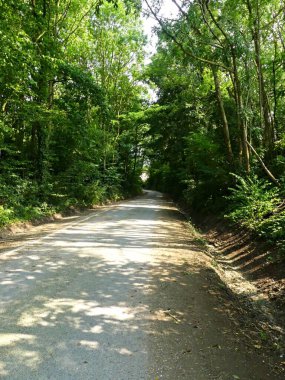 Fransa 'daki Argonne ormanında yürüyüş - Dini anıtın manzarası - Cte Vignes - Sainte Menehould Anma Töreni