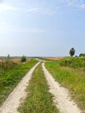 Fransa 'daki Argonne ormanında yürüyüş - Dini anıtın manzarası - Cte Vignes - Sainte Menehould Anma Töreni