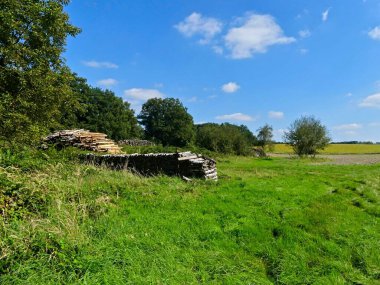 Yakacak odun ve talaş deposu